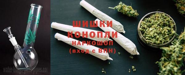 молекула духа Ветлуга